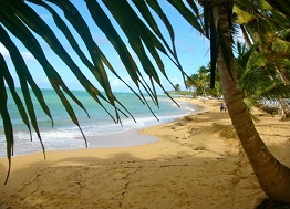 Caribbean condo