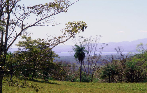 Colinas de Miramar