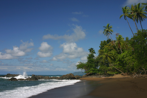Corcovado