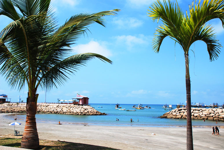 Costa de Oro