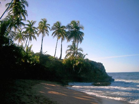 Manzanillo