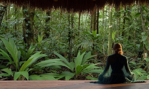 Los Arboles Tulum