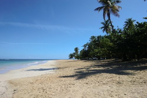 Playa Coson, Las Terrenas