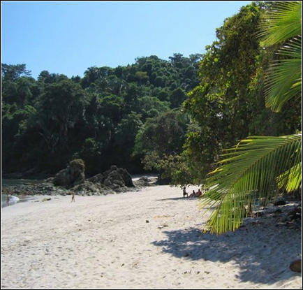 Pacific Lots