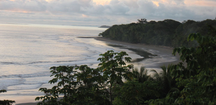 Pacific Lots