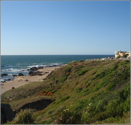 Rocha