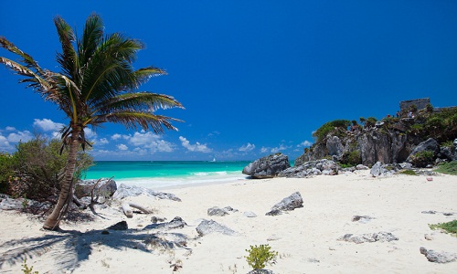 Caribbean condos