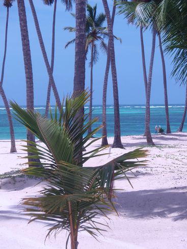 Bavaro Beach