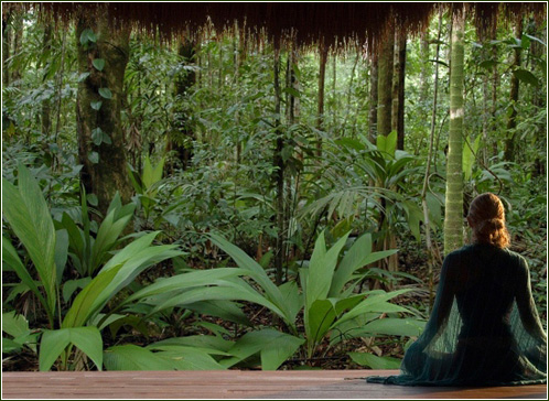 Los Arboles Tulum
