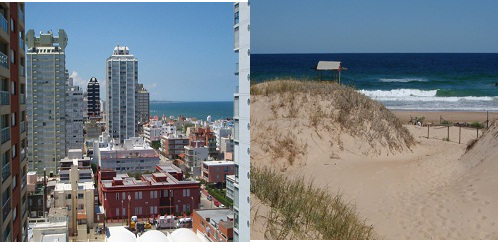 real estate investing real estate investing